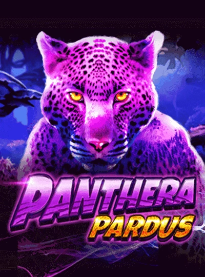 pb777 pb777